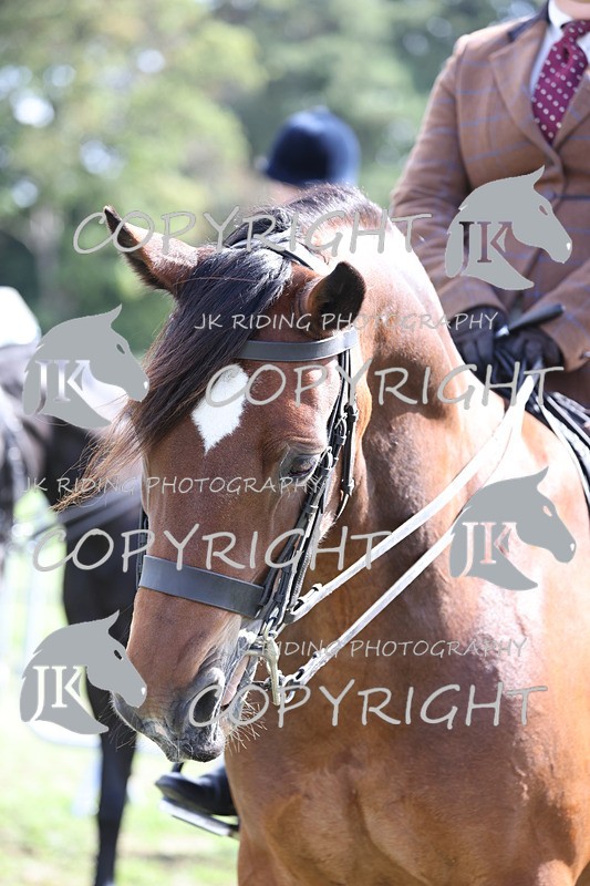 APP_3705 - Class 12 M&M ridden