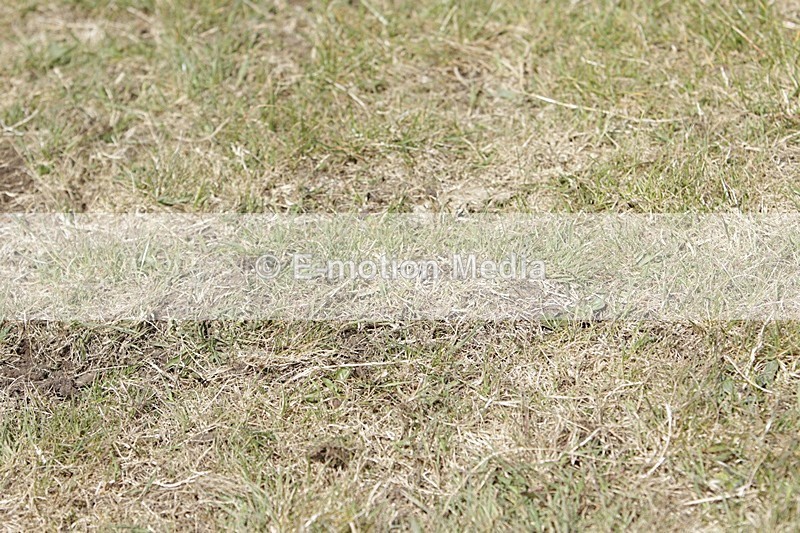 BVHT 140517 I-871 - Class 1 SJ Intermediate 14/05/17