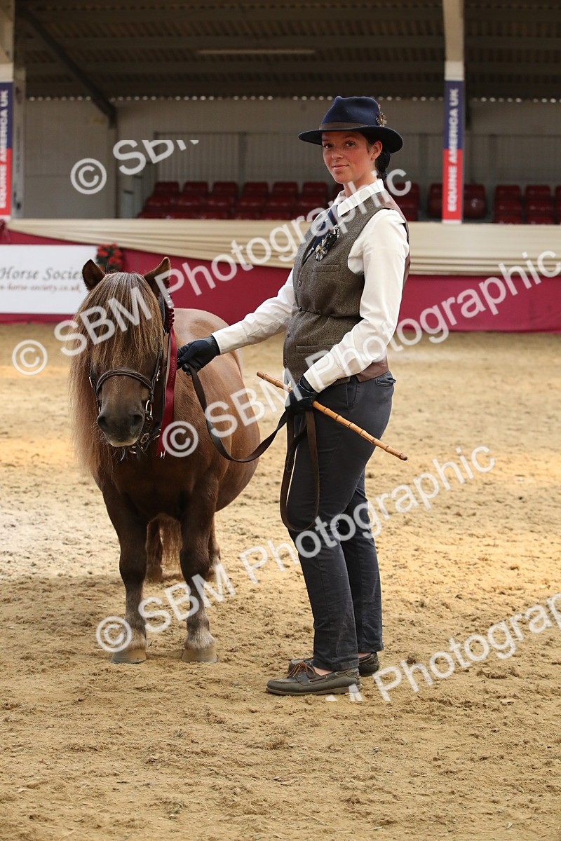 SBM_05428 - Class 8R - Regional IH Veteran