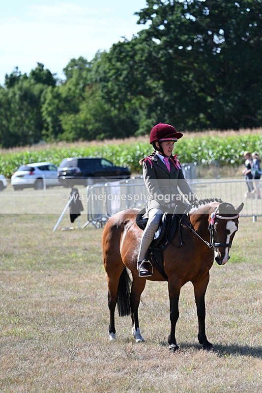 WJ7_3609 - Class 9 Mountain & Moorland Ridden