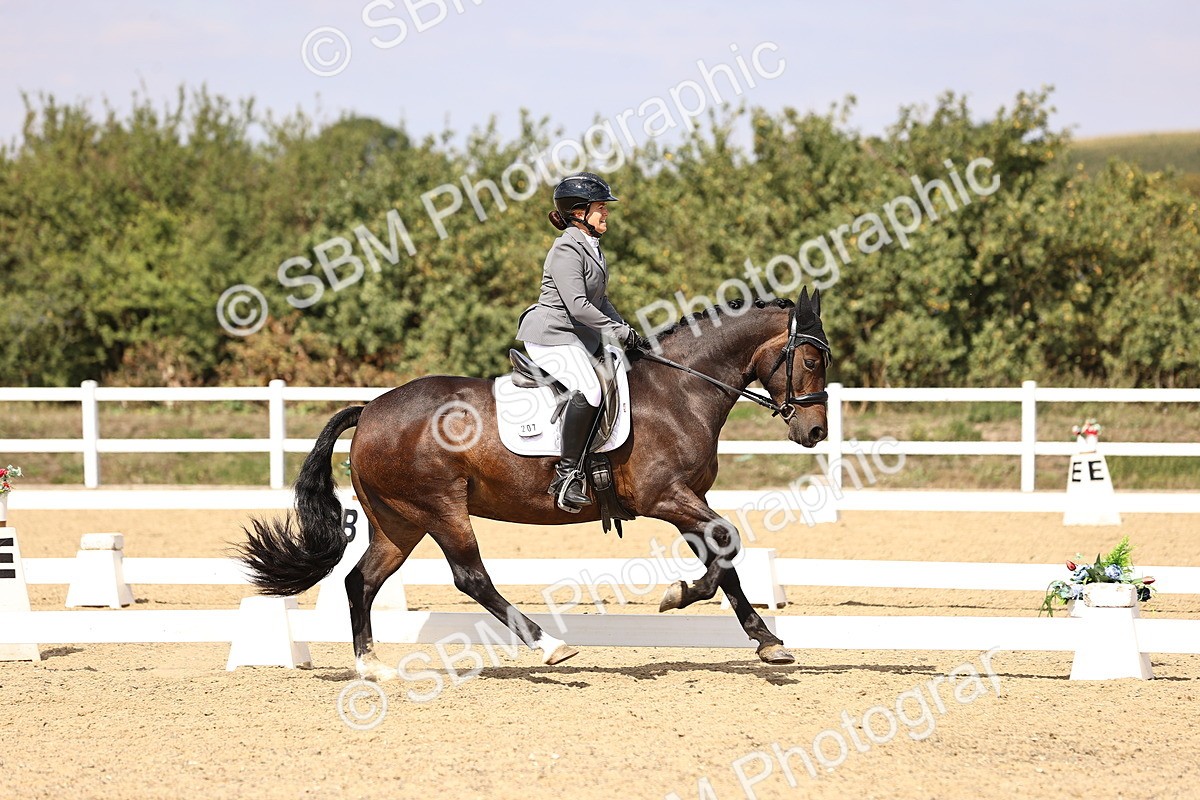 SBM_015023 - Class 6 - Elementary 5