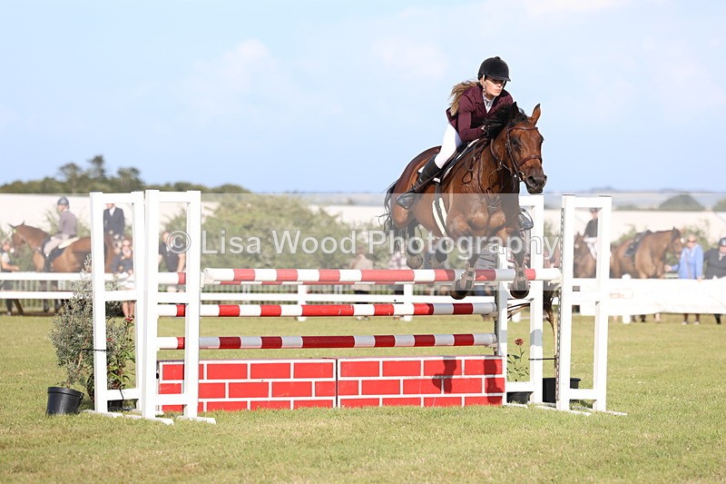 3E7A4450 - Class C: Showjumping Senior Foxhunter