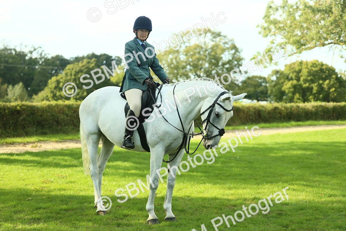 SBM_52202 - S33 - Working Hunter & Working Show Horse