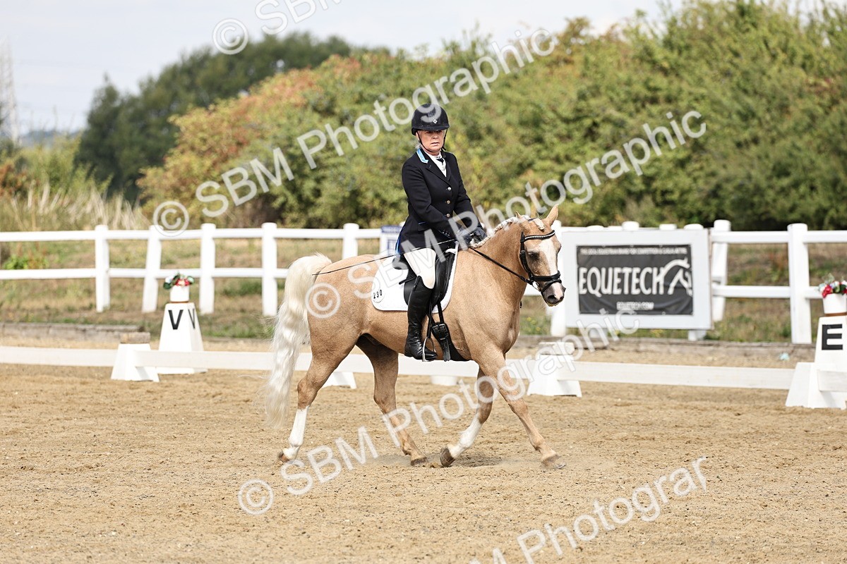 SBM_018210 - Class 16 - Novice 5 - 11.12-12.01