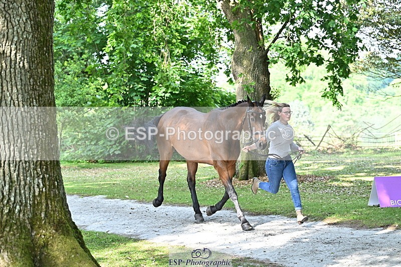 250521A-162849-01167 - C-225-Molly.Adams-QUINARA