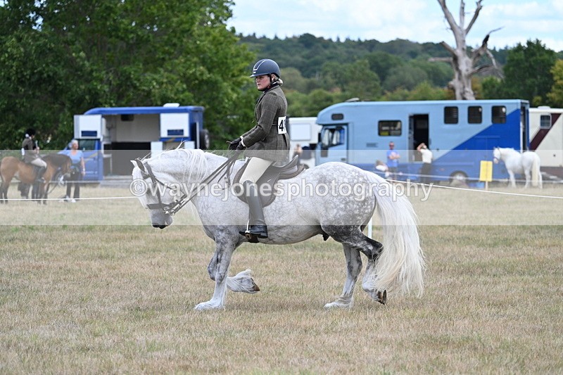 WJ7_4951 - Class 12 Ridden Cob