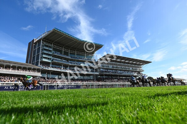 yr08102022r1-26 - Race 1 1.30pm The Coral Play 'Racing-Super-Series' for Free Nursery Handicap