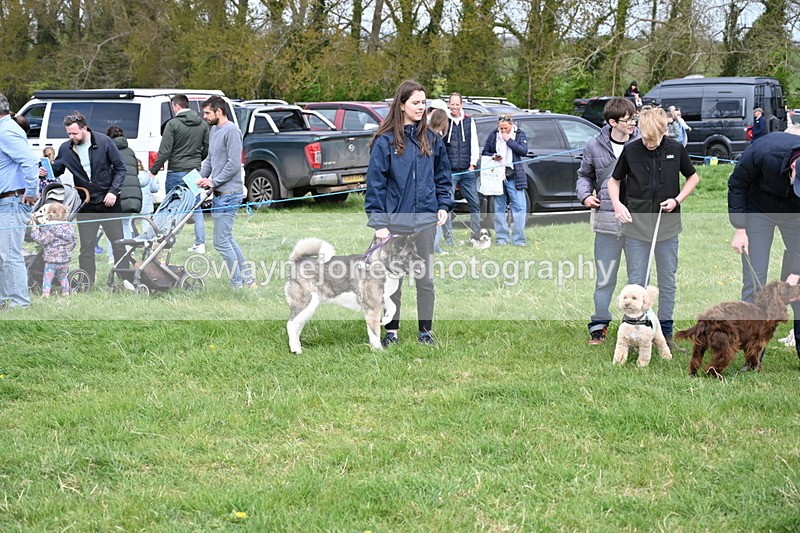 WJ6_8641 - Class 6 Best Rescue