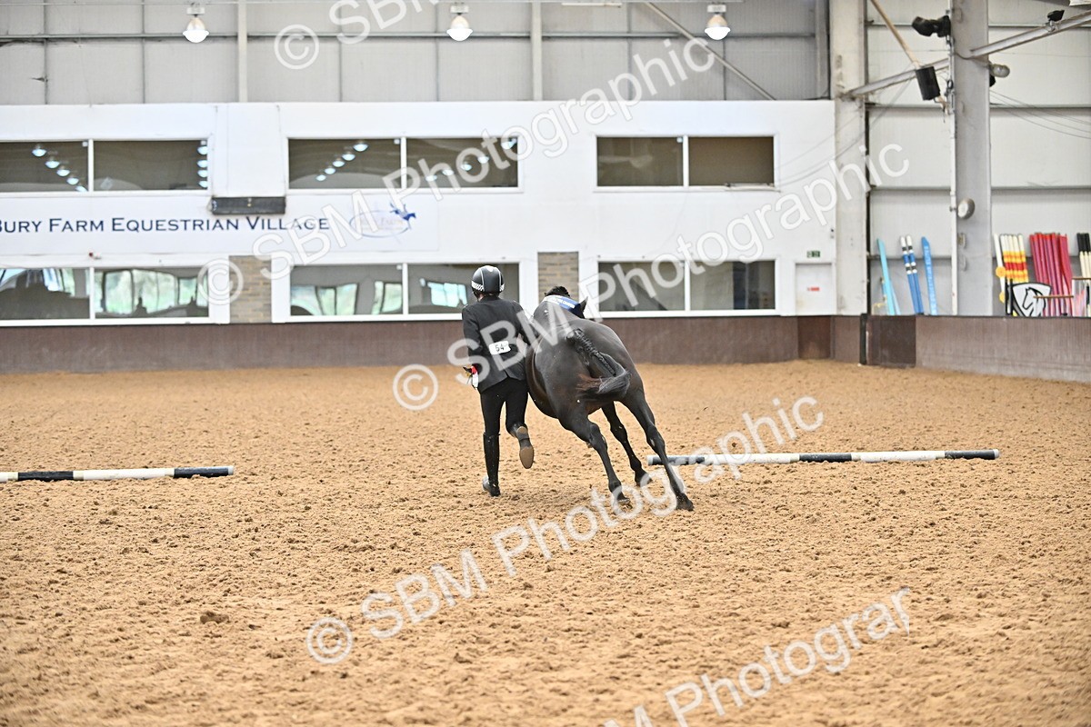 SBM_000809 - Class 16 - In Hand Showing Supreme Championships