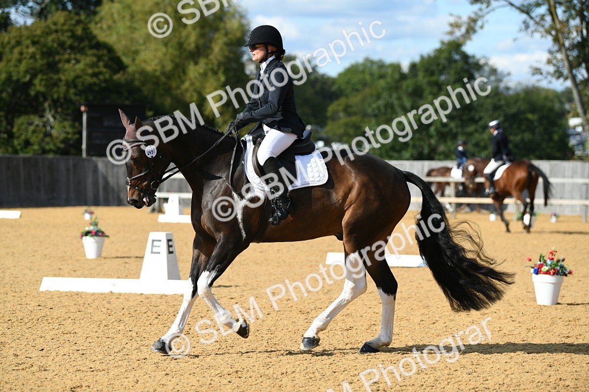 SBM_27027 - D16 - Small Tour Championship - Novice 28