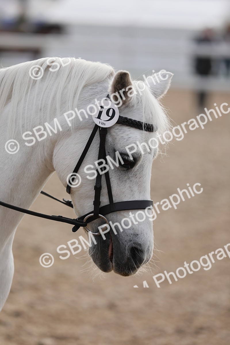 SBM_09647 - Class 301 Ridden M&M -Small Breeds