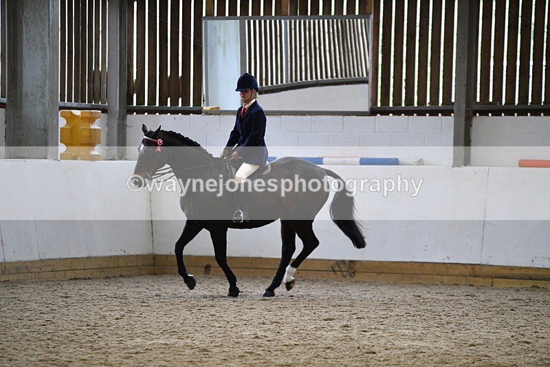 WJ5_7851 - Class 13 Ridden Part Breed