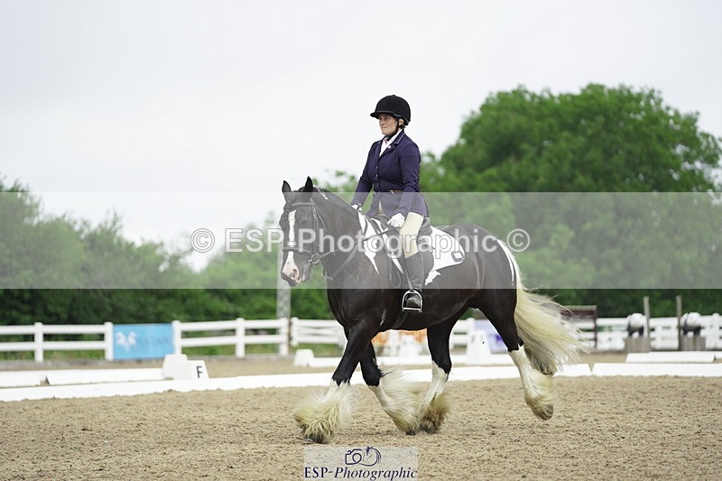 230708A-100102-00263 - Intro C