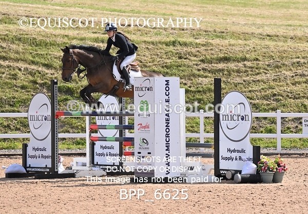 BPP_6625 - CLASS 13 FRI HOYS Talent Seeker Qualifier Inc 7 Year Old Horse Championship Qualifier
