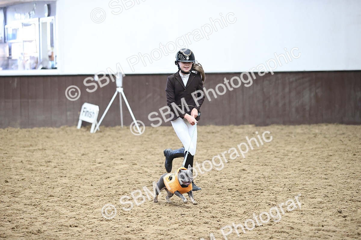 SBM_001198 - Class 3 - Horse & Hound 60cm
