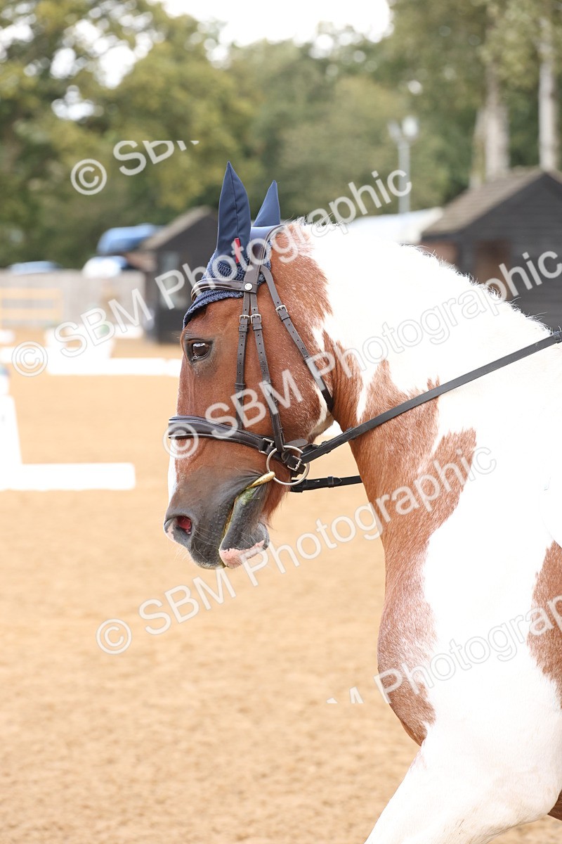 SBM_47465 - D12 - Small Tour Championship prelim 2