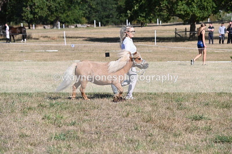 WJ6_7255 - Class 33 Rescue Pony