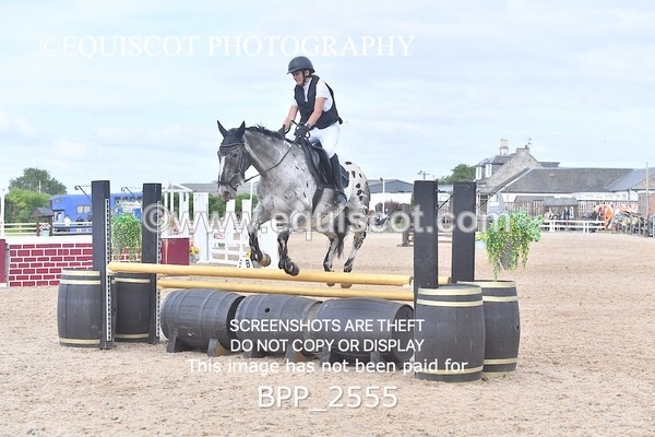 BPP_2555 - DERBY CLASS 8 - 90CM