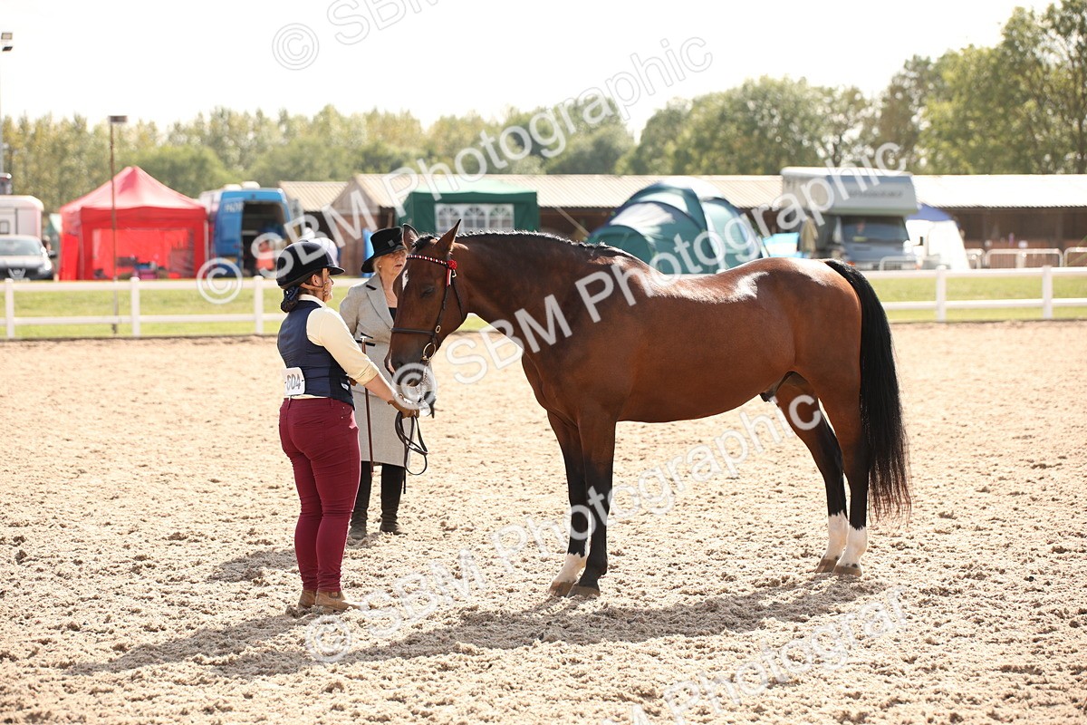 SBM_07413 - Class 26 IH Foreign Breeds -Part bred