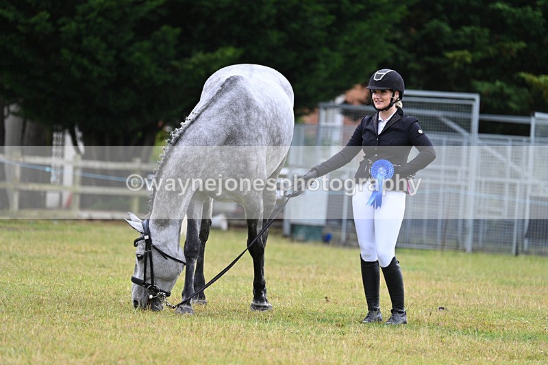 WJ7_6394 - Class 4a Prettiest Mare over 14hh