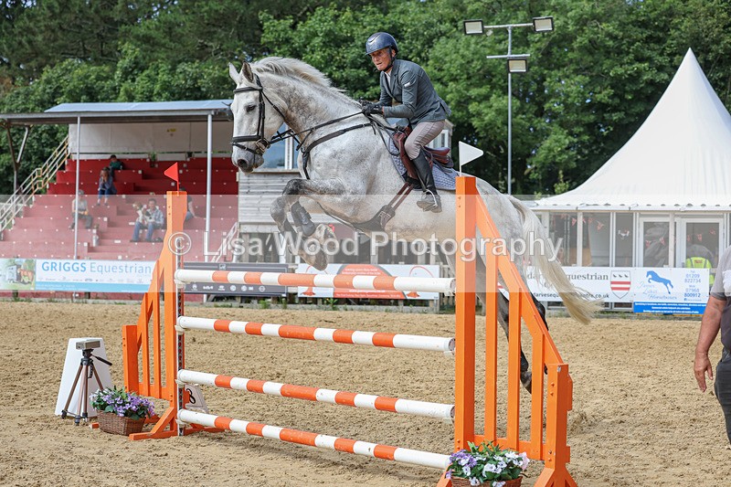 3E7A7574 - Class 9: Senior Foxhunter/1.20 open