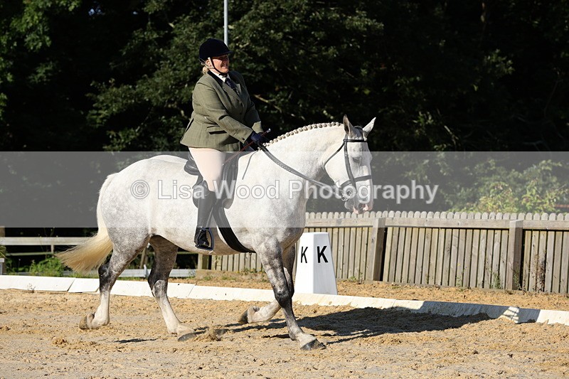 1X9A7541 - Class 7: Novice Ridden Hunter/Hack/Cob/Riding Horse