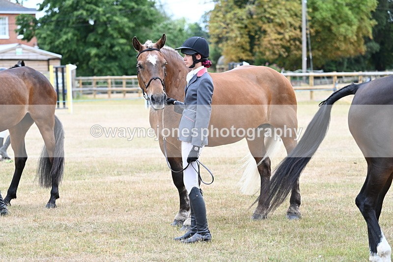 WJ7_9198 - Class 4a Prettiest Mare 14.2hh and over