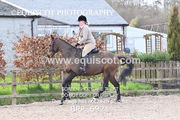 BPP_6921 - RING 1  (RIDDEN HORSES / IN HAND / VETERAN ETC)