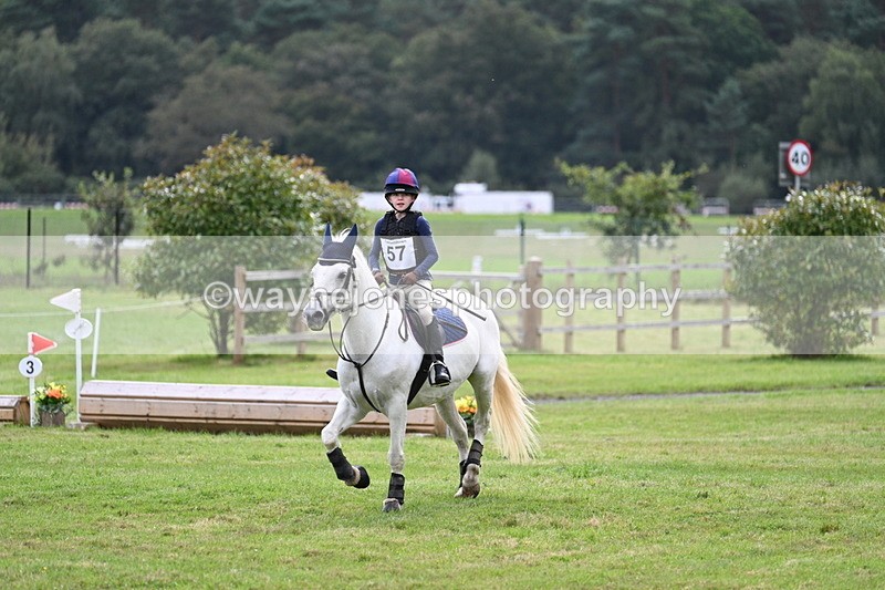 WJ7_8832 - 60cm Time 12:31 to 12:50