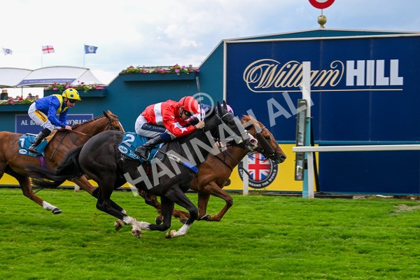 310525-Race 5-Frankies Dream-9874 - Race 5 3.50pm Reg Bond Always And Forever Handicap