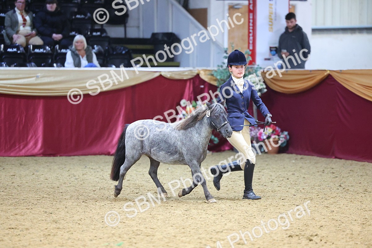 SBM_22780 - Class 903 - Supreme Final - IH Pre Vet