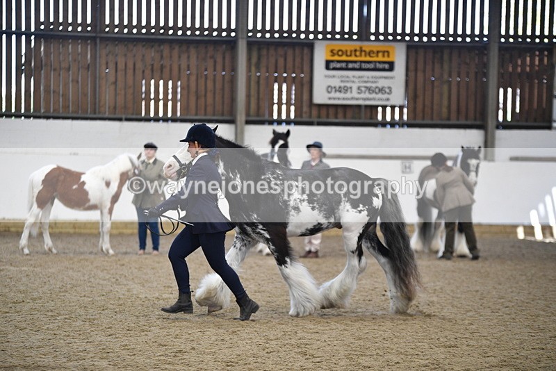 WJ5_4688 - Class 7 In hand coloured / odd coloured