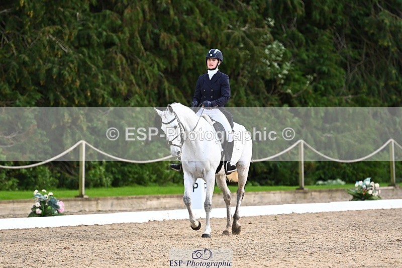 231021-155808-20979 - 262-GOOD.BOY.ALEX-Tara.Jefferies-DR