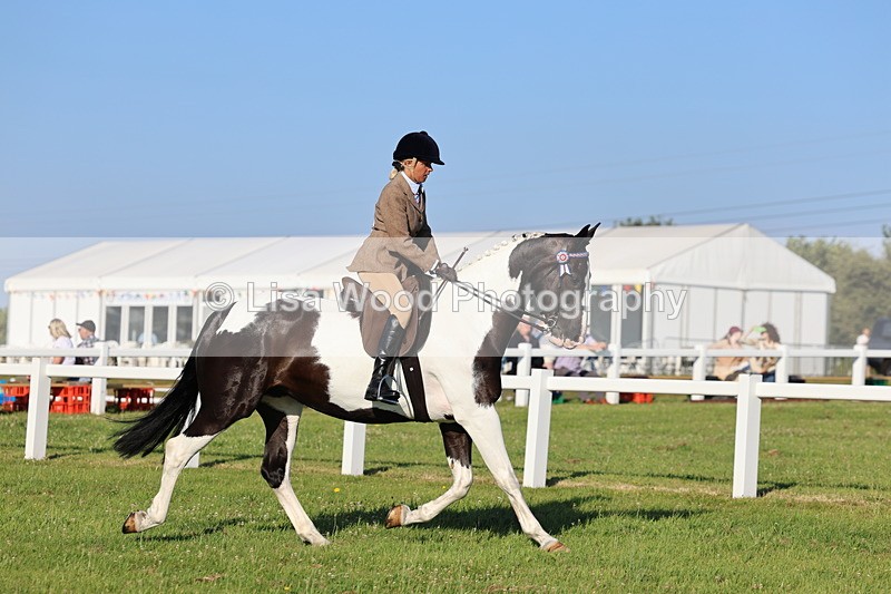 IMG_1200 - Class 27: Ridden Plaited Coloured Horse