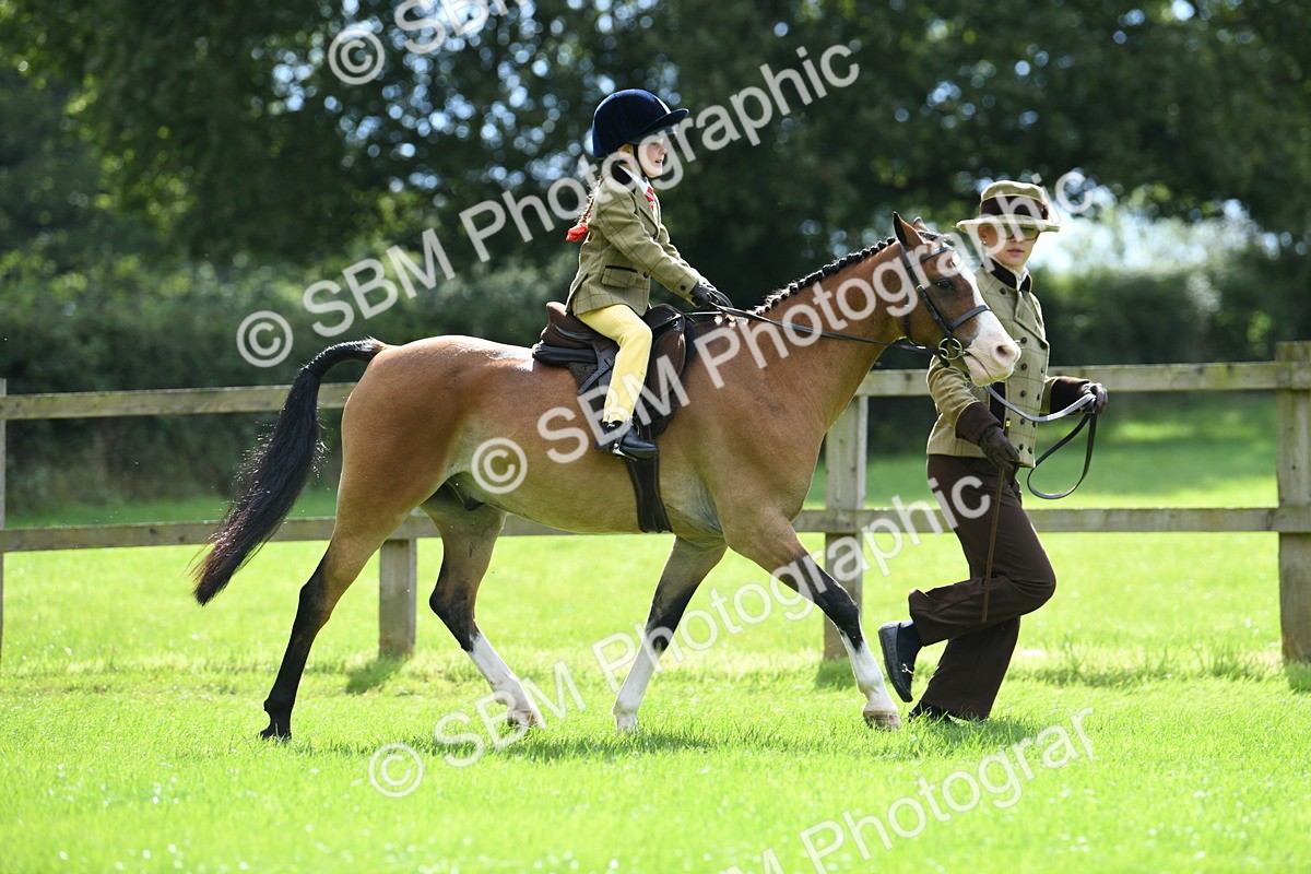 SBM_41201 - S19 - Lead Rein Show & Show Hunter Pony