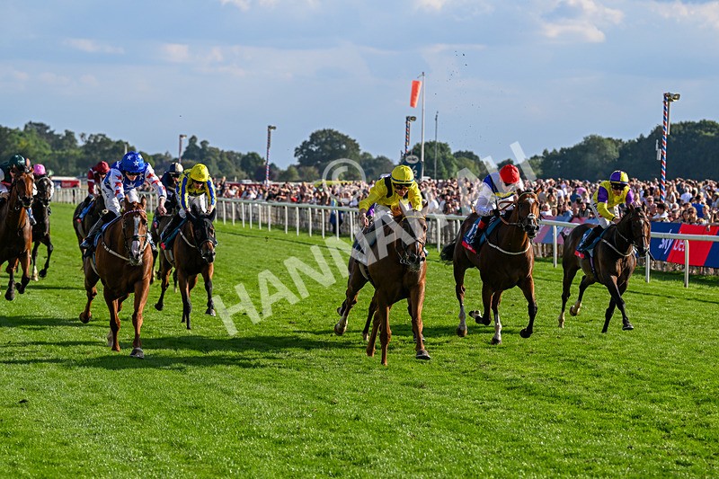220826-Race 7-Raammee-1866 - Race 7 17.20pm Sky Bet Dav Reid Finale Handicap