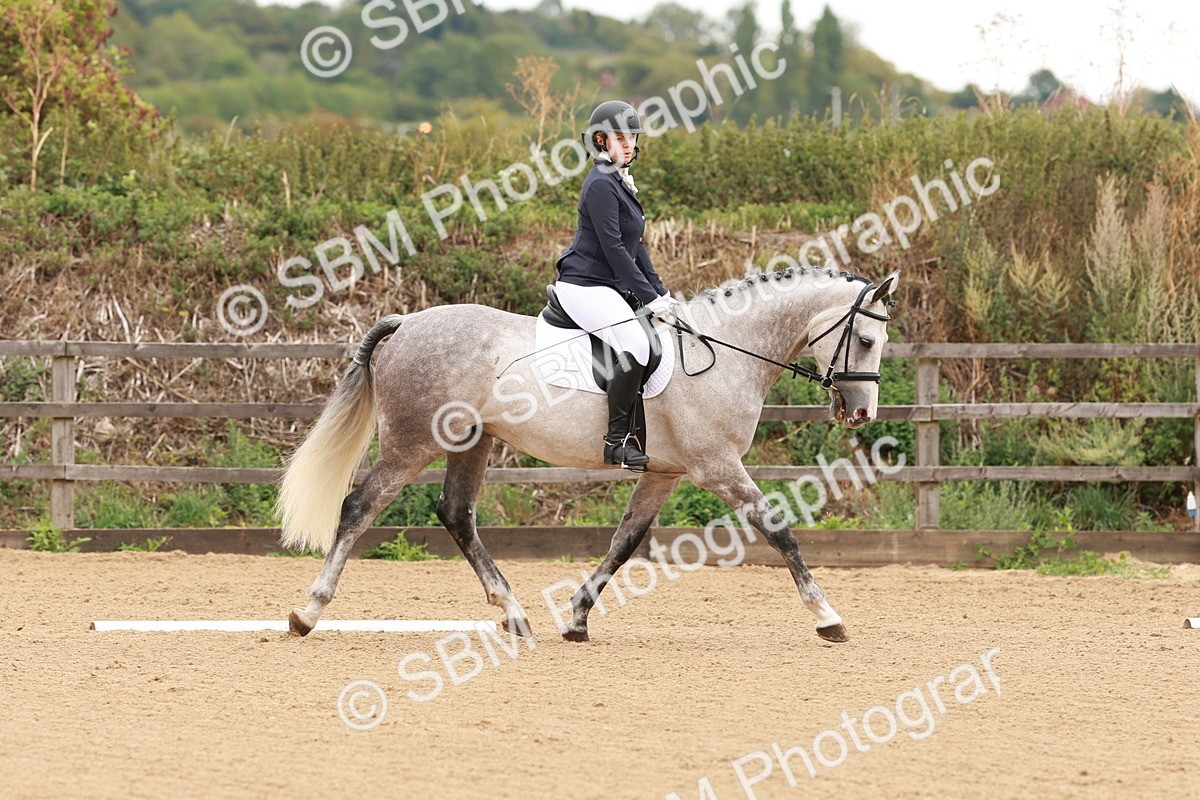 SBM_001061 - Intro 2