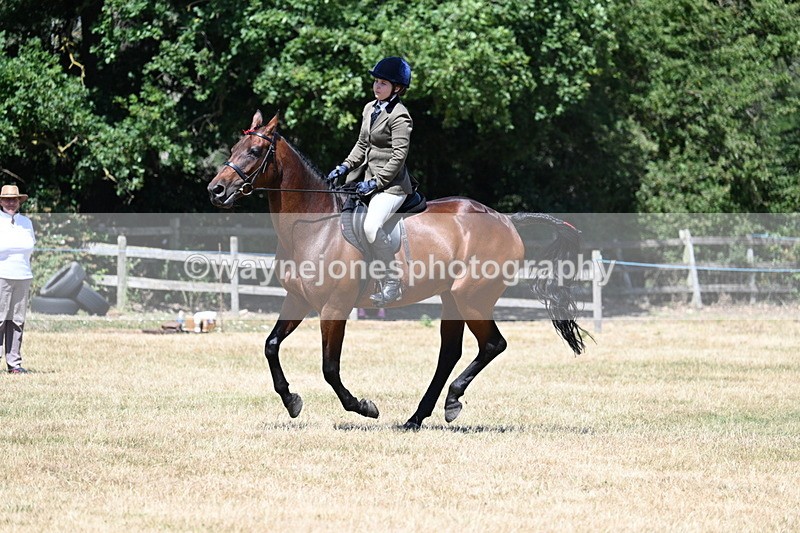 WJ7_3120 - Class 7 Riding Club Show Horse