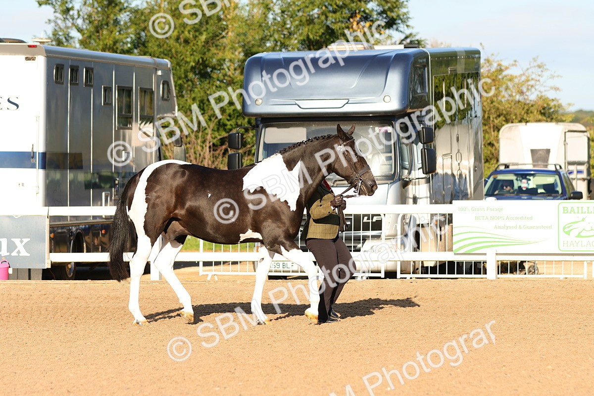SBM_07973 - Class 201 - Best Turned Out - IH