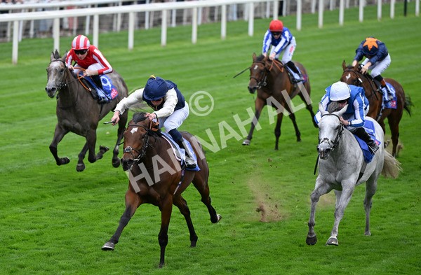 210825-004 Royal Fixation - Race 1 1.50pm Sky Bet Lowther Stakes