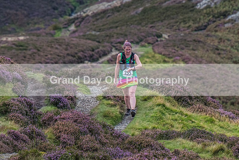 Barrow-484 - Barrow Fell Race Monday 28th August 2023