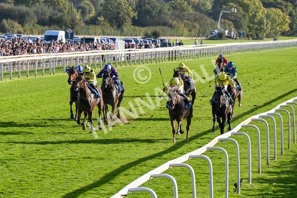 111025-Race 5-Morshdi-0522 - Race 5 Coral 'We're Here For It' EBF Maiden Stakes at York