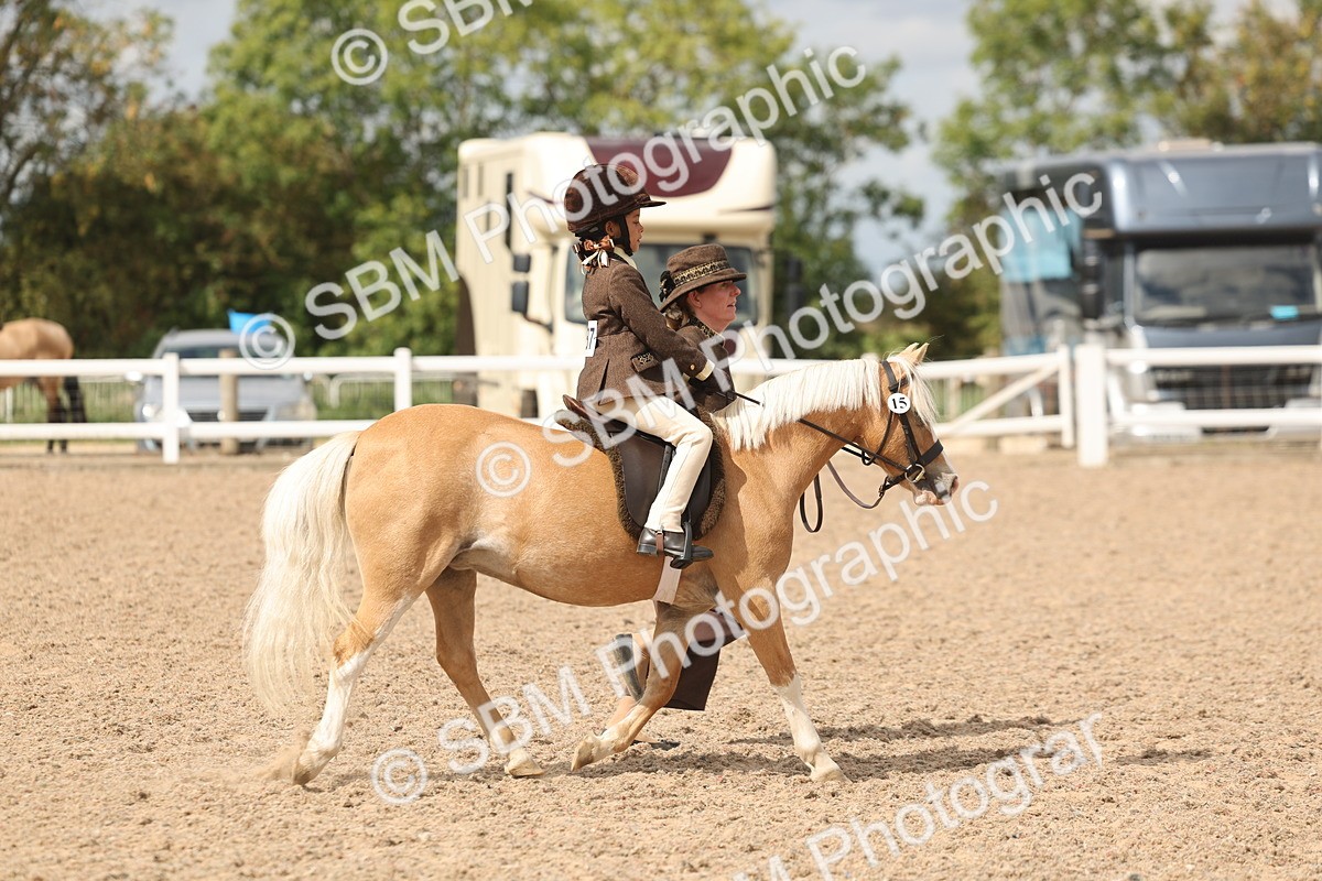SBM_15765 - Class 309 - Lead Rein Pony