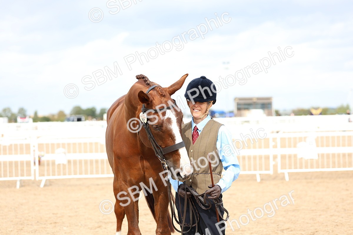 SBM_03969 - Class 25 - IH Foreign Breeds - Pure Bred