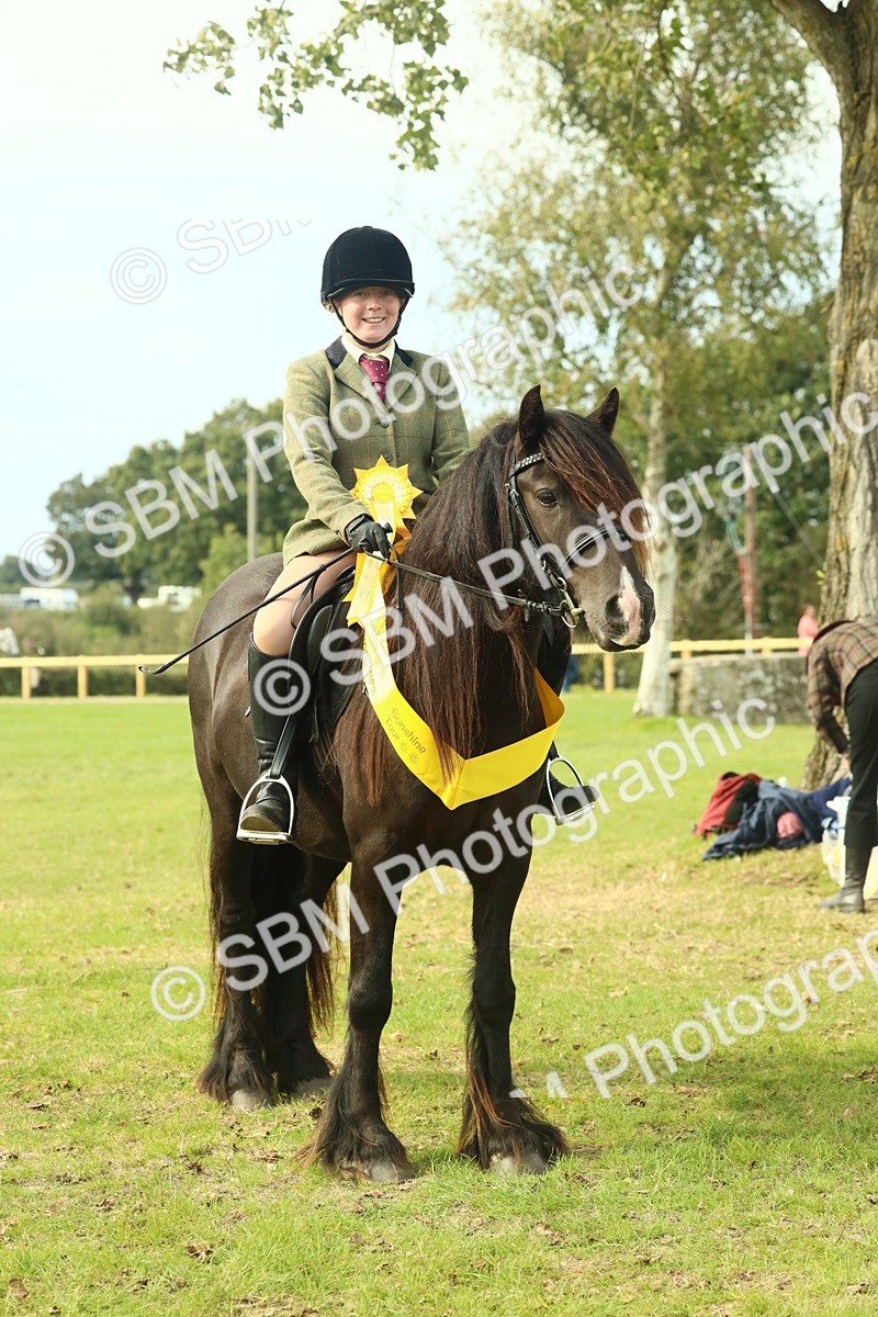 SBM_69404 - S58 - Mini Show Cob Ridden
