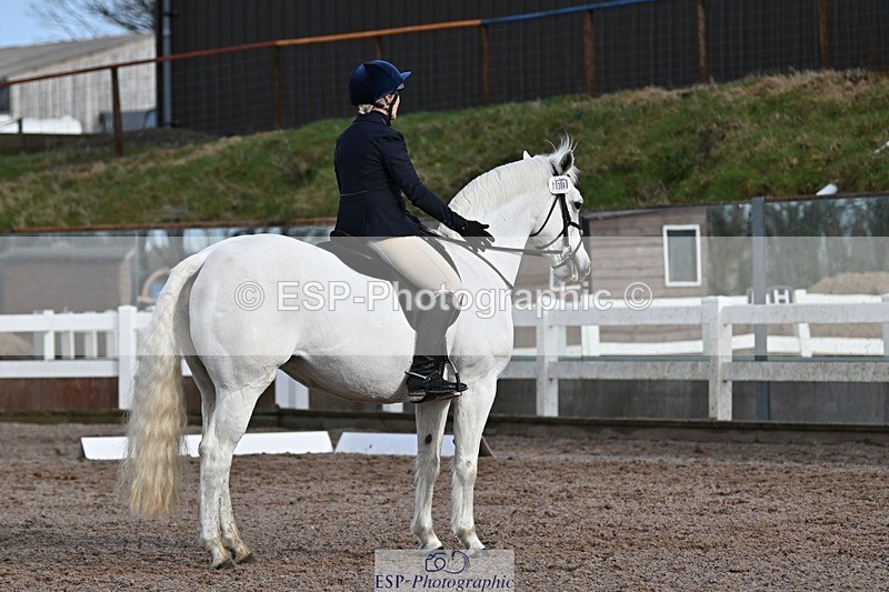 250125-112805-00364 - Dressage - CT Class 5 BE95 (90cm)