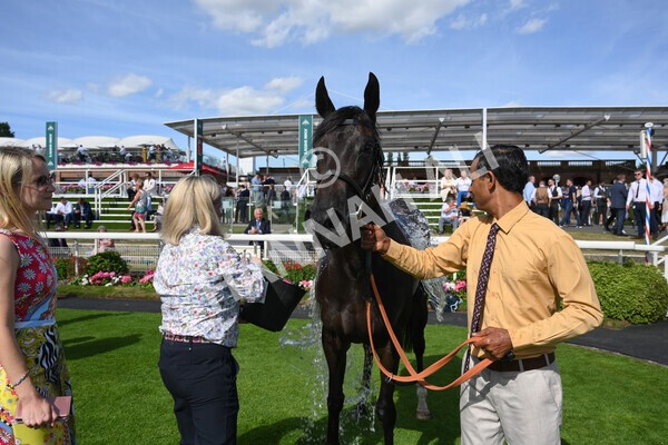 yr09072022r6-33 - Race 6 4.40pm John Smith's City Walls Stakes