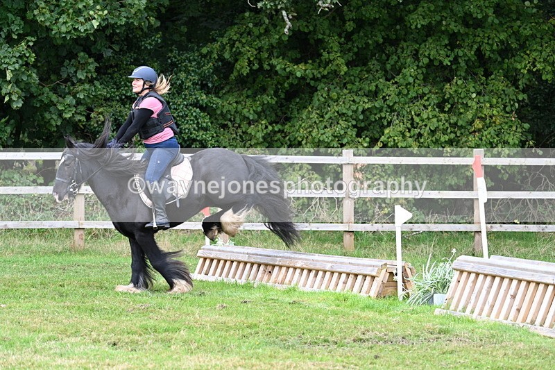 WJ7_7890 - 40cm Time 10:49 to 11:18