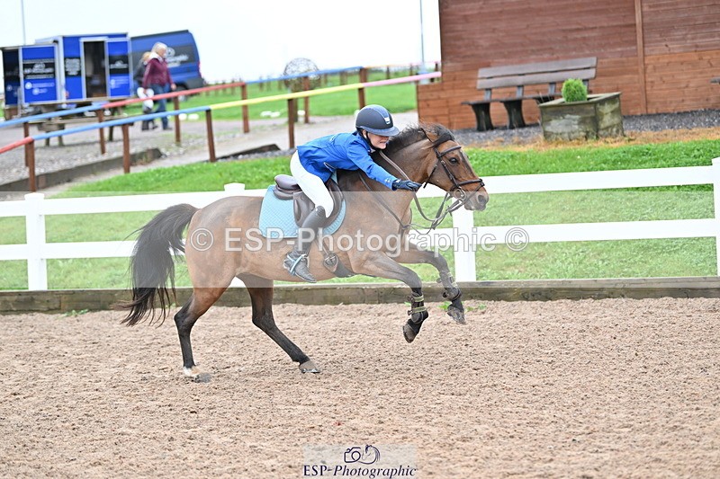 240908A-111308-03279 - Cls 18 A&B Pony Brit Nov & 80 Opern