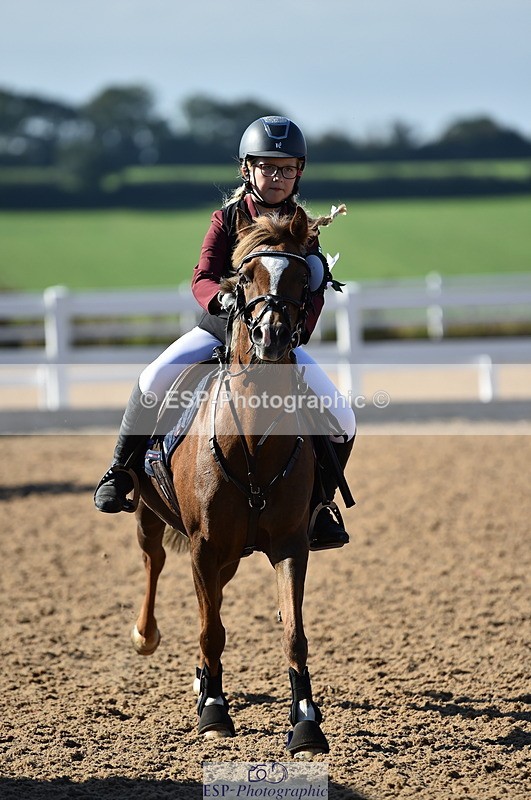 230903A-095230-03587 - Cls 17 Pony Intro 75cm